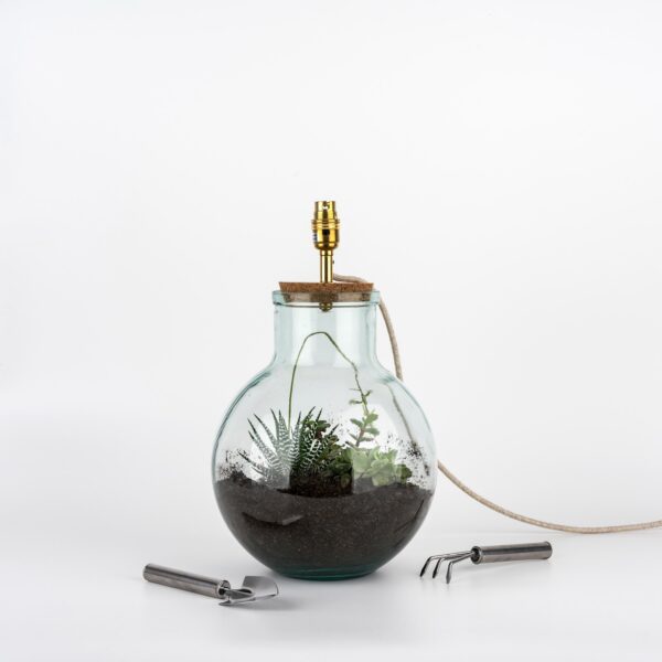 Terrarium Table Lamp Kit with Plants